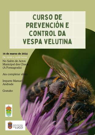 Curso de prevención e control da vespa velutina  o sábado, 16 de marzo de 2024