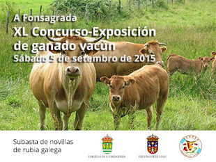 XL Concurso de exposición de ganado vacuno